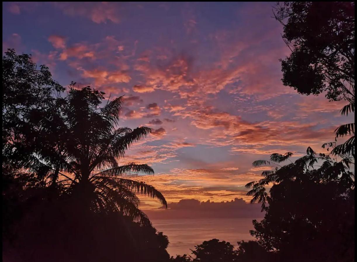 Casa Geraldo Panzió Manuel Antonio Kültér fotó
